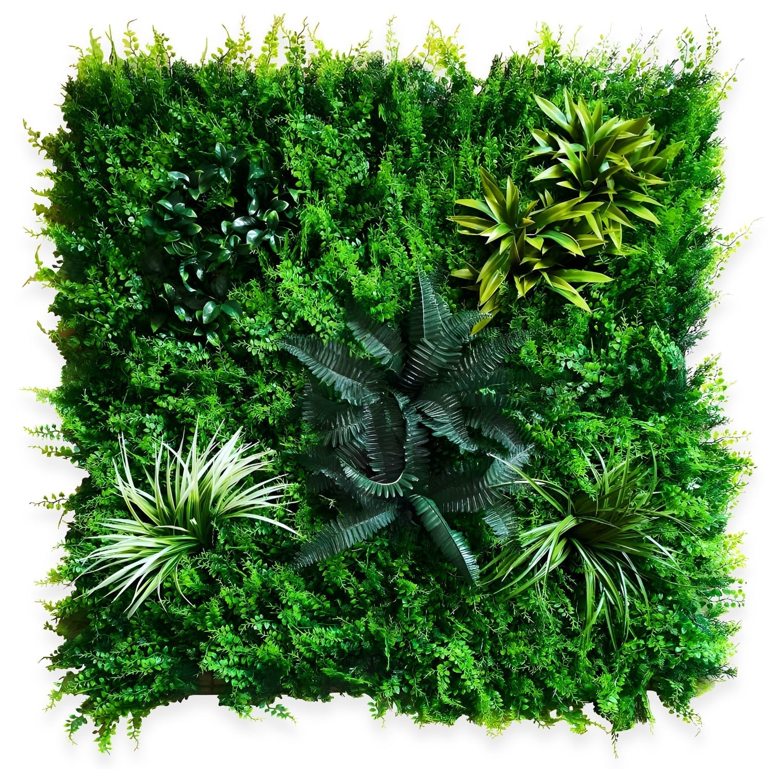 Landmark Decor’s Tropical Oasis is a square panel of dense, artificial Boston Fern Grass with varied leaf types and shades arranged in a stylish decorative pattern.