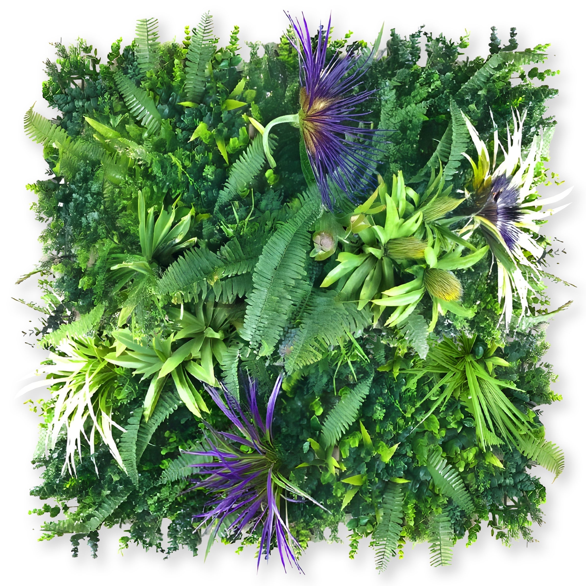 The Amethyst Zen Greenery by Landmark Decor is a square vertical garden panel with dense lush green foliage and spiky clusters of purple flower grass.
