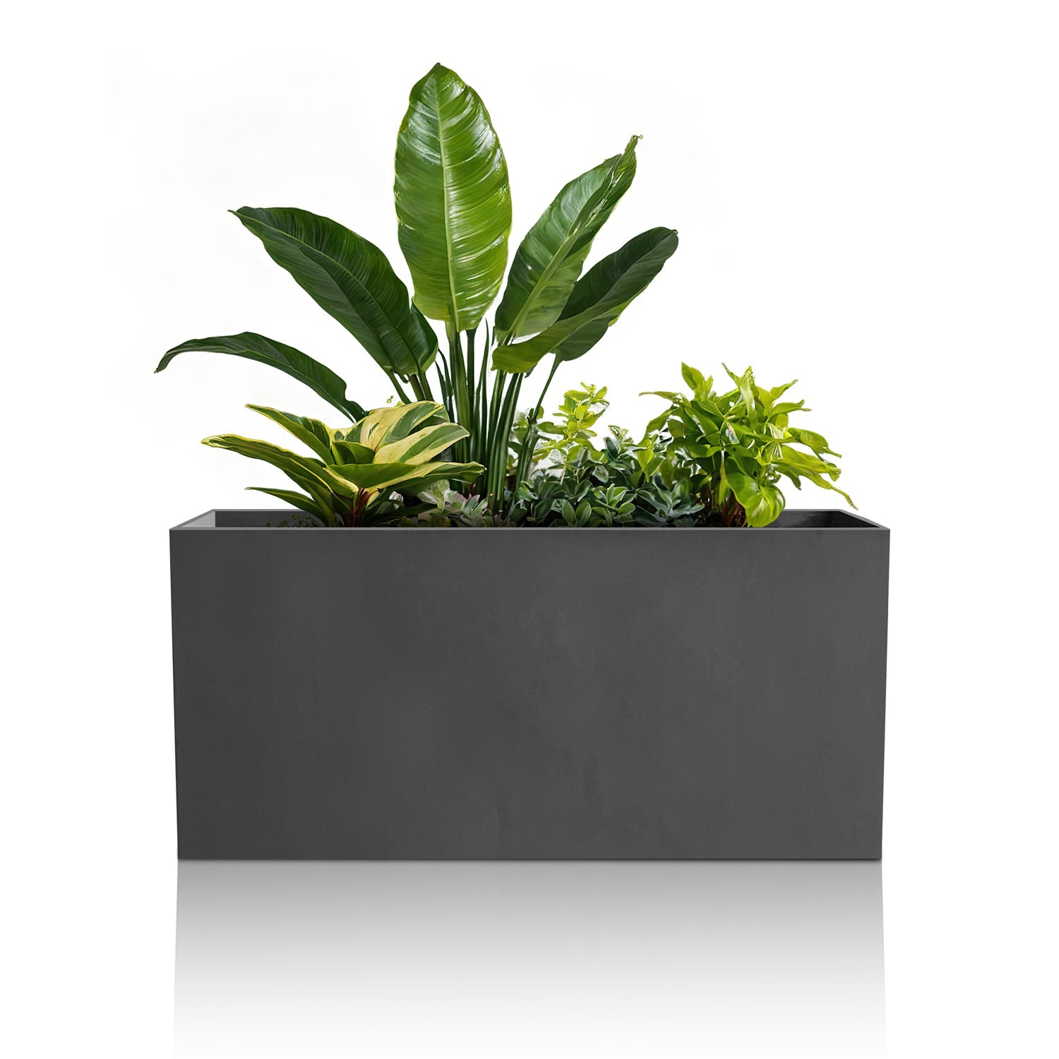 The Minimalist Oasis Planter - Large by Landmark Decor, in a sleek rectangular gray design, showcases superb craftsmanship with lush green plants with broad leaves. Its simple, modern aesthetic captures luxury essence against a plain white backdrop.