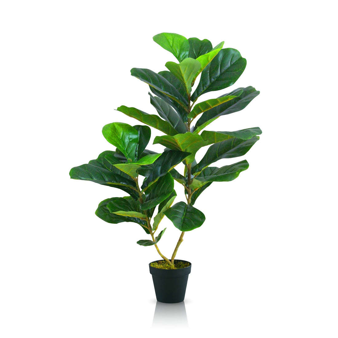 The Verdant Symphony by Landmark Decor features a lush, medium fiddle leaf fig in a black pot, with glossy green leaves and multiple branches for a vibrant look against a plain white background.
