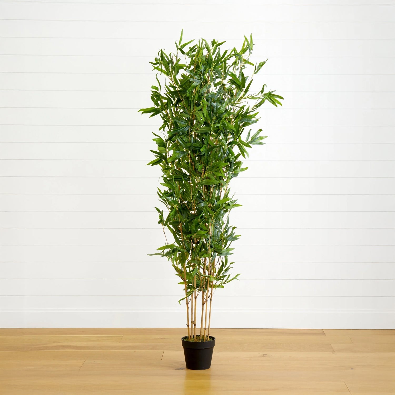 The Zen Whisper by Landmark Decor, a small potted bamboo plant with slender green leaves, stands on a wooden floor against a plain white wall.